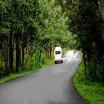 Wayanad road