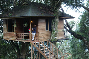 Munnar Treehouse stay